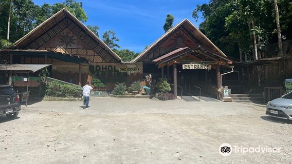 Bohol Tarsier Conservation Area