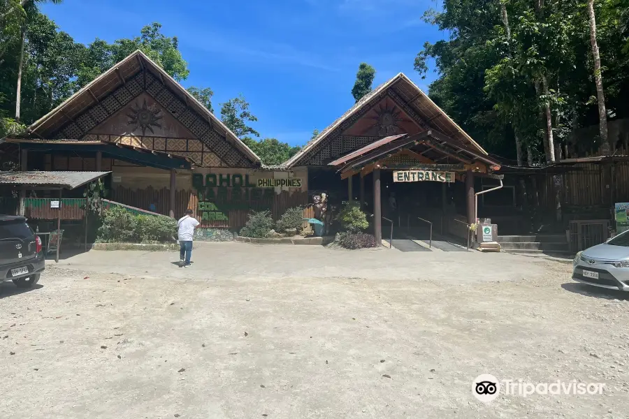 Bohol Tarsier Conservation Area