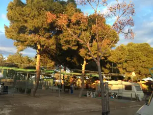 Camping Playa de Mazarrón