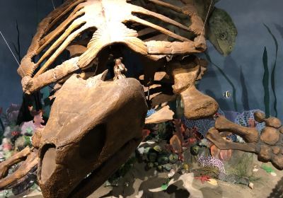 Glendive Dinosaur & Fossil Museum