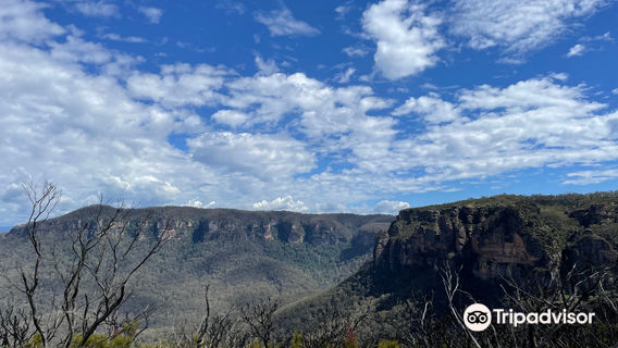 Narrow Neck trail