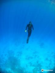 Blue Ocean Free Divers - Day Course