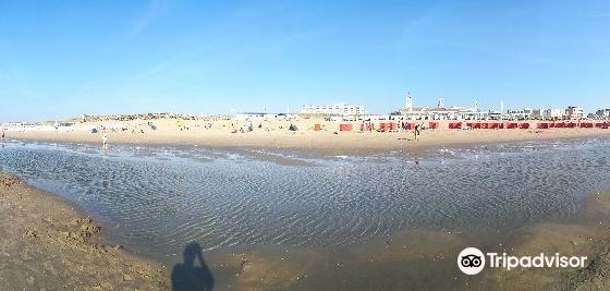 諾德韋克 自由行套票