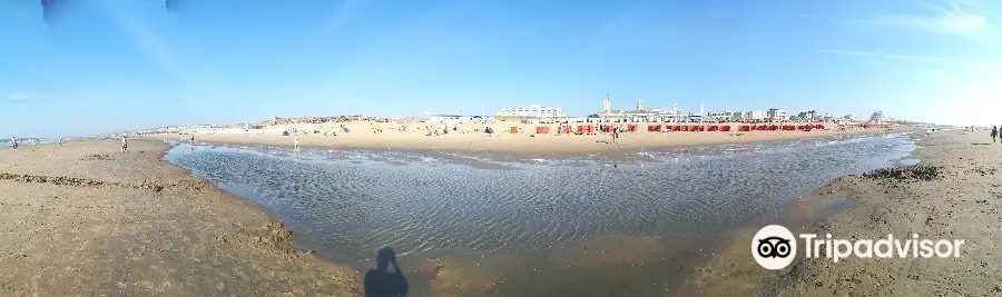 Het Strand Van Noordwijk Aan Zeedd