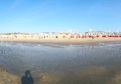 Strand Noordwijk Aan Zee