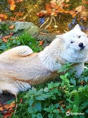 Zoo Osnabrück