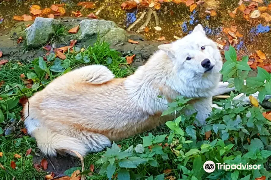 Zoo Osnabruck