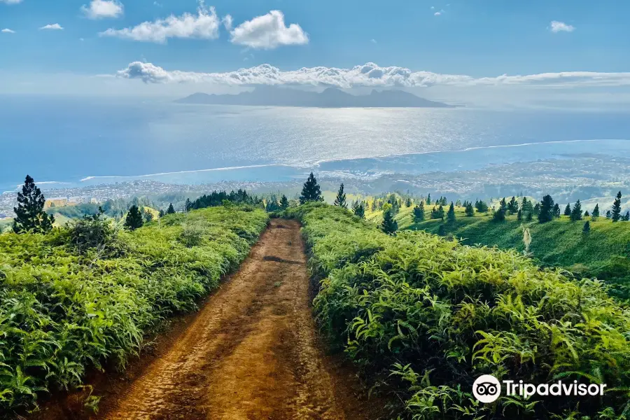 Tahiti Parapente