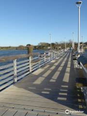 Lake Corpus Christi State Park