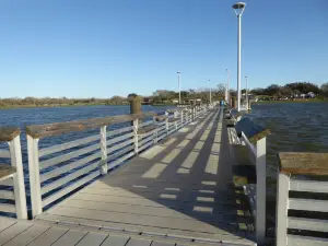 Lake Corpus Christi State Park