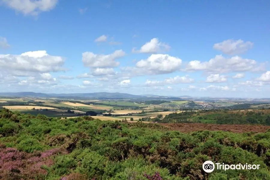 Brimmond Country Park