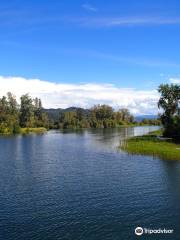 St. Joe River Cruise