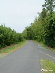 The lane of Katumi