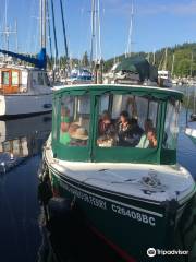 Gibsons Harbour Ferry