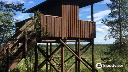 Yrjo Kokko bird watching tower