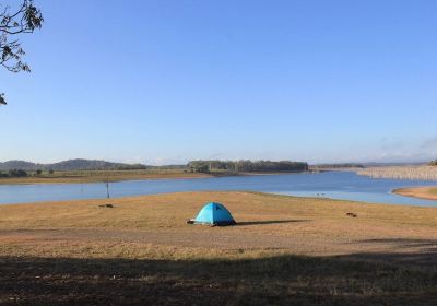 Danbulla National Park