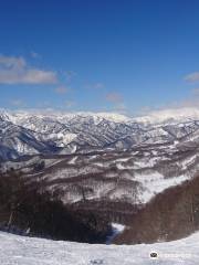 水上宝台樹スキー場