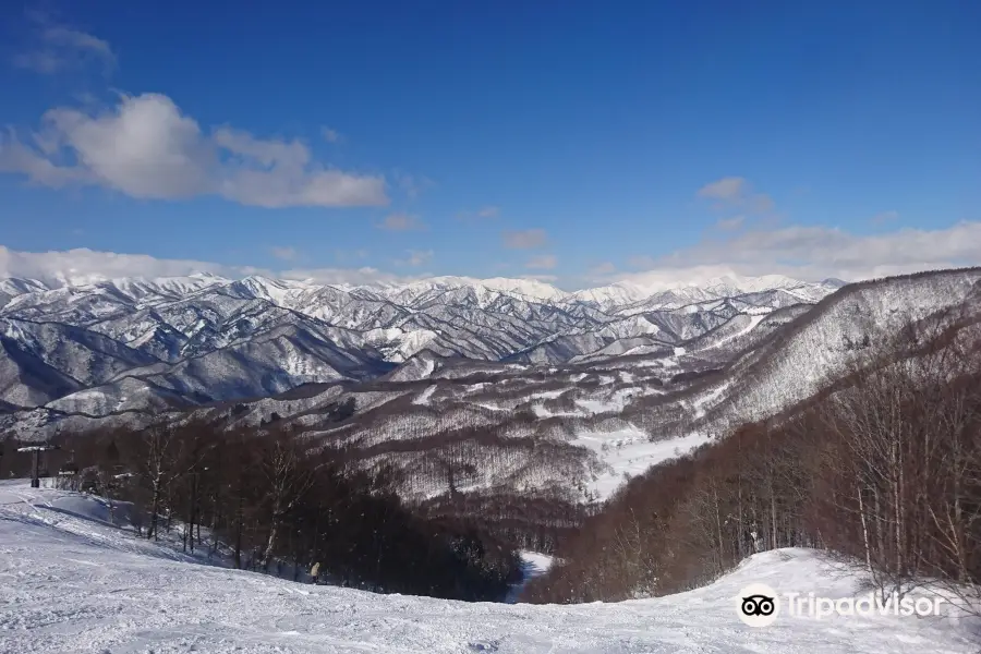 群馬水上寶台樹滑雪場