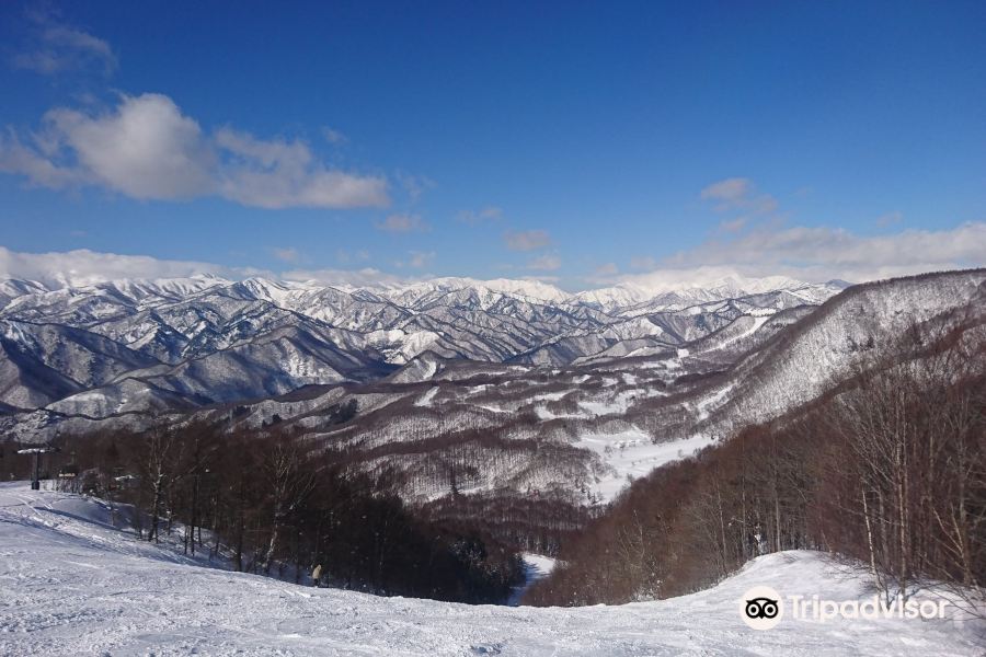 羣馬水上寶台樹滑雪場