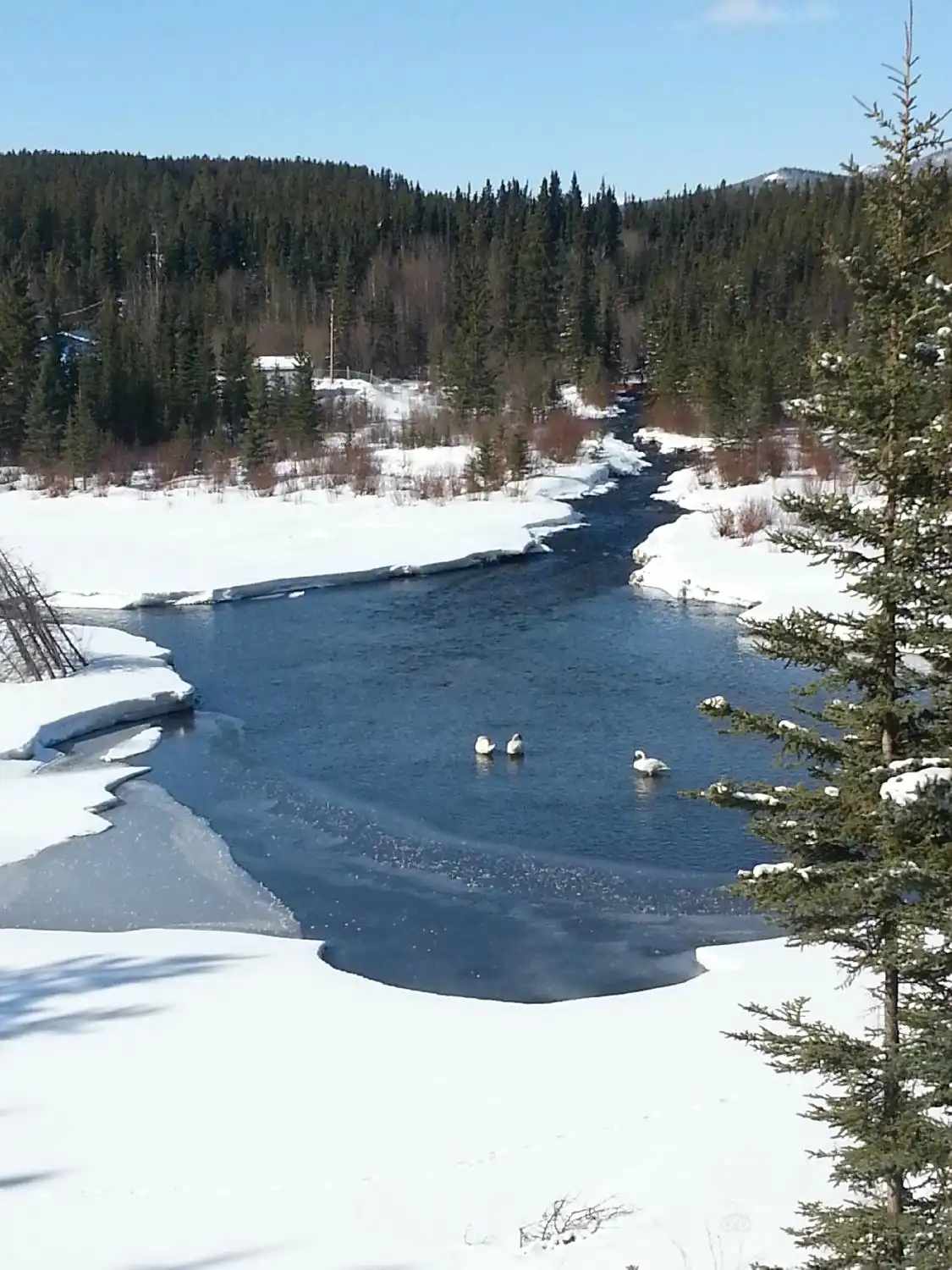 Hotels near McIntyre Creek