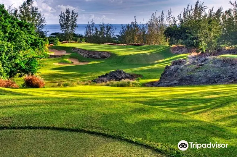 Royal Westmoreland Golf Course