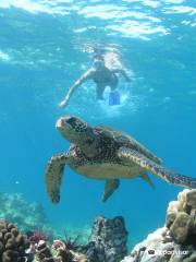 Maui Kayak Adventures