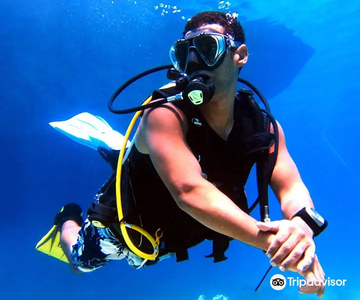 Experience Divers Sharm El Sheikh