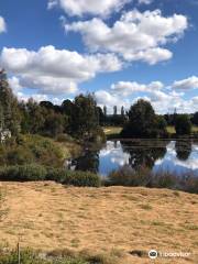 Goulburn Wetlands