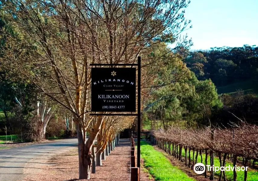 Kilikanoon Wines Cellar Door