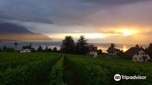 Domaine et Cave Christophe & Christine Bertholet