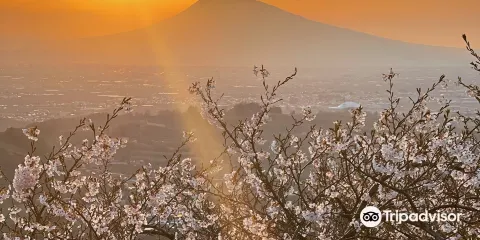 志賀坊森林公園