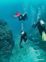 Costa Rica Adventure Divers