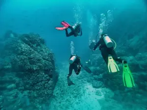 Costa Rica Adventure Divers