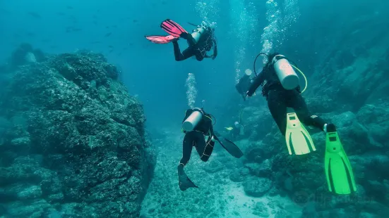 Costa Rica Adventure Divers