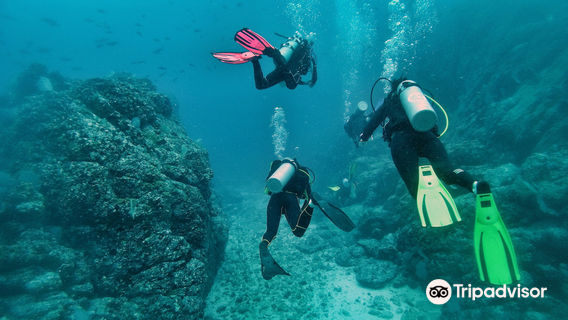 Costa Rica Adventure Divers