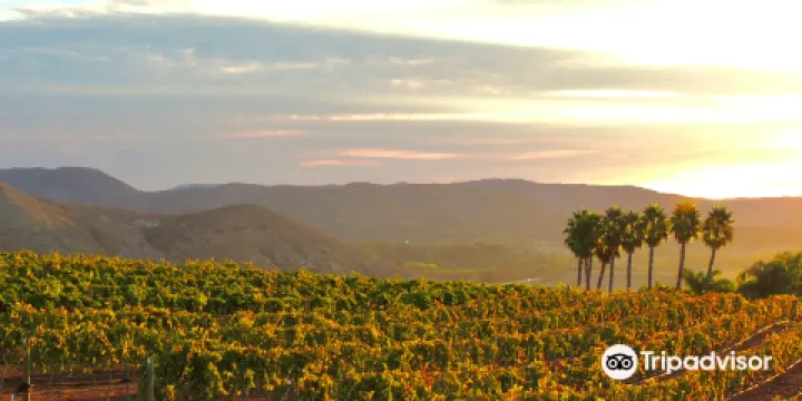 Hungry Hawk Vineyards