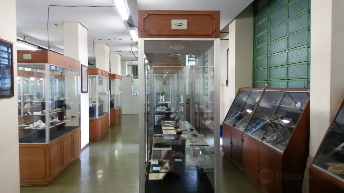Hotels near Minerals and Rocks Museum