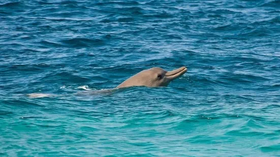 Zanzibar Activities