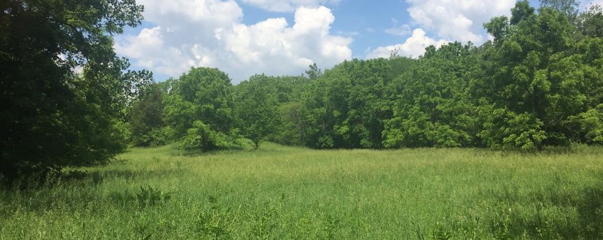 Sand Creek Conservation Area