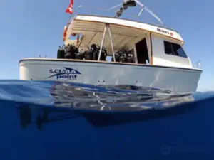 Scuba Point Diving Palau