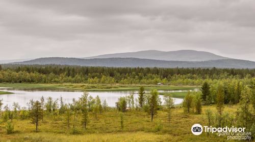 Yrjo Kokko bird watching tower