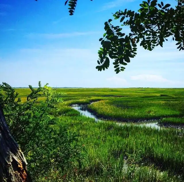 Hotels near Eastern Shore of Virginia National Wildlife Refuge