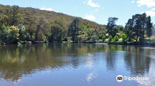 Lake Alexandra Reserve