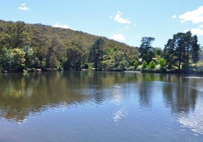 Lake Alexandra Reserve