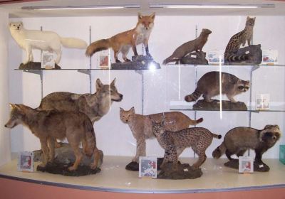 MUSEO NATURALISTICO