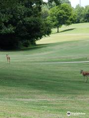 Shelby Golf Course