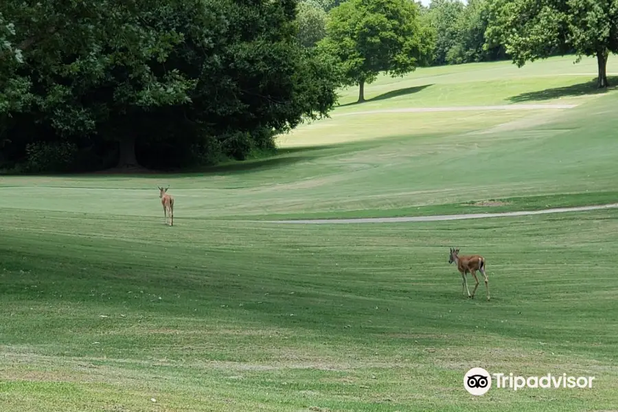 Shelby Golf Course