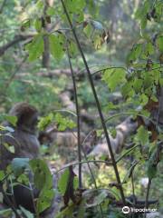 1o Parco Zoo della Fauna Europea