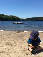 Foley Matheson Park and Beach