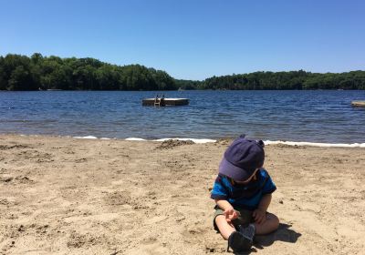 Foley Matheson Park and Beach